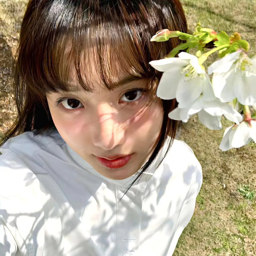 蝴蝶梦