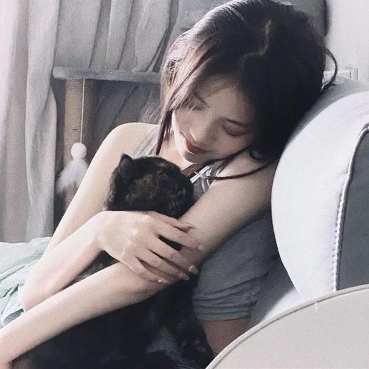 鲨颤